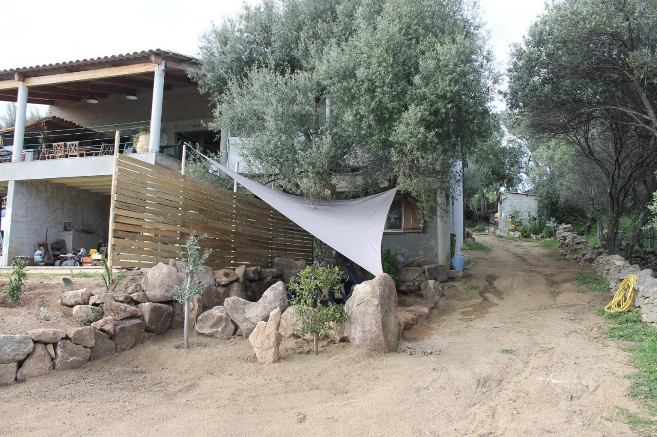 Les Hauts De Frisella Monacia-d'Aullene Exterior foto